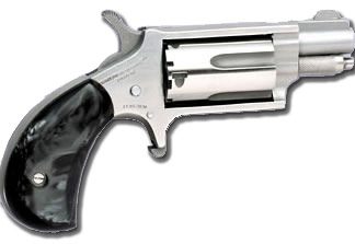 North American Arms Mini 22 Mag Revolver 1-1/8" Stainless